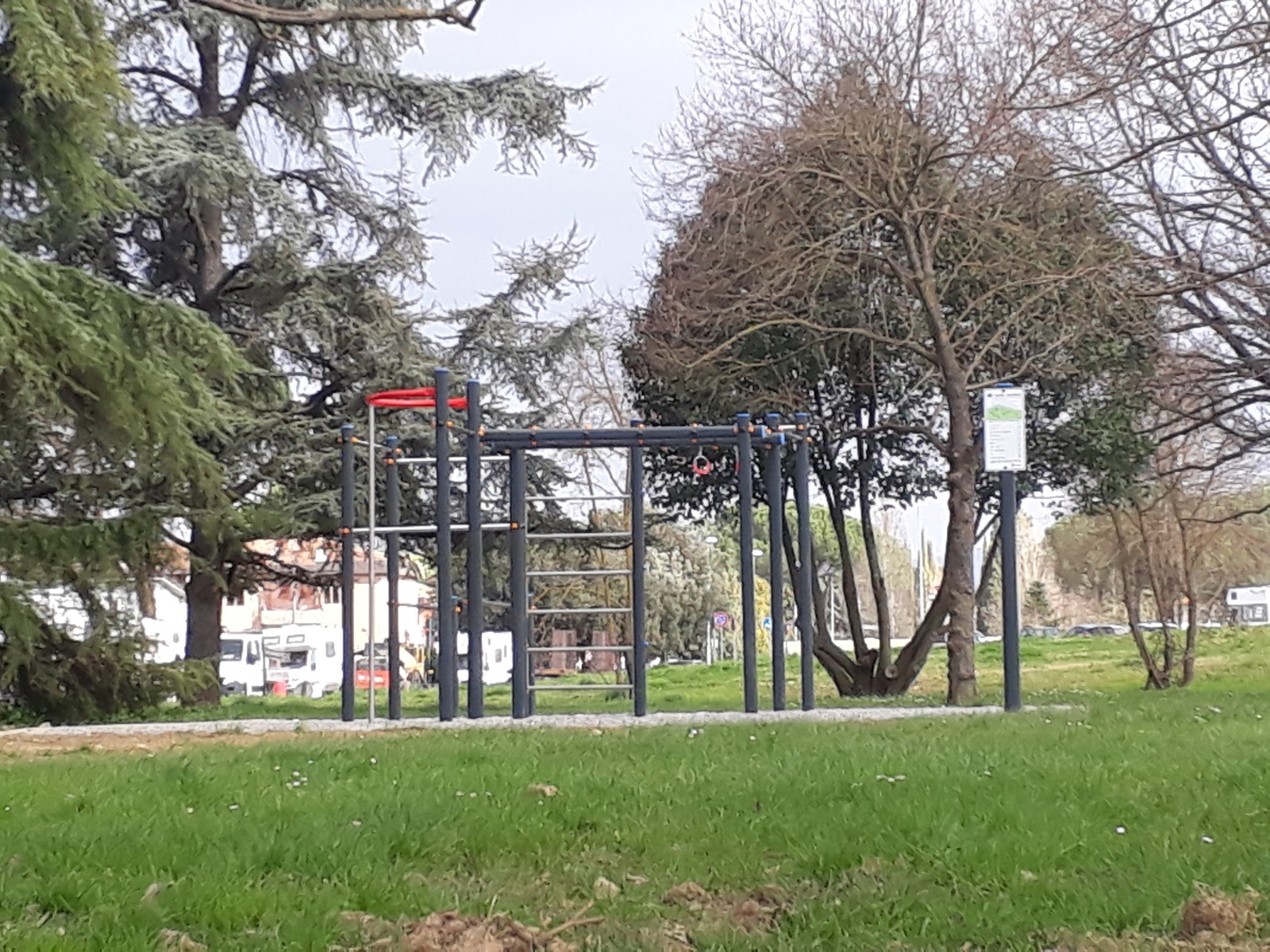 Palestra Calisthenics