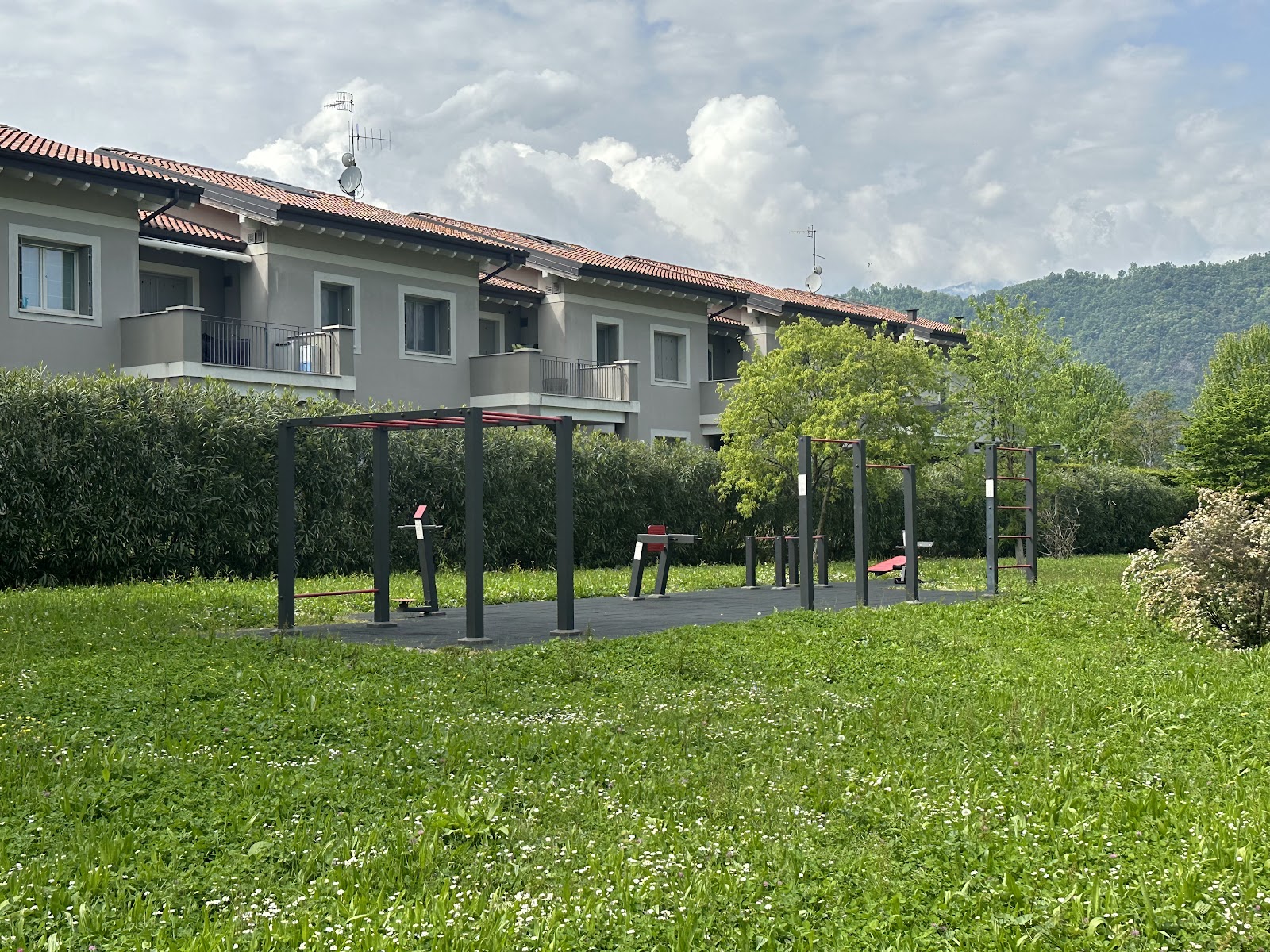 Palestra Calisthenics