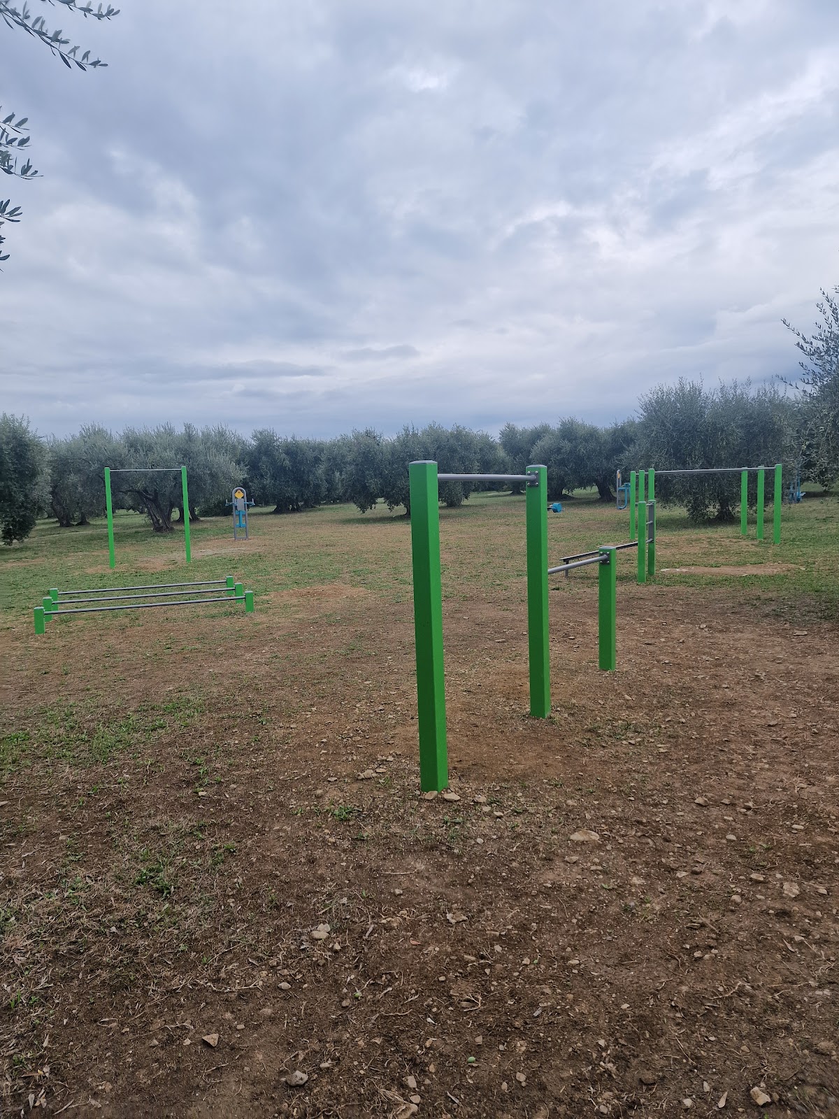 Palestra pubblica all'aperto - Calisthenics