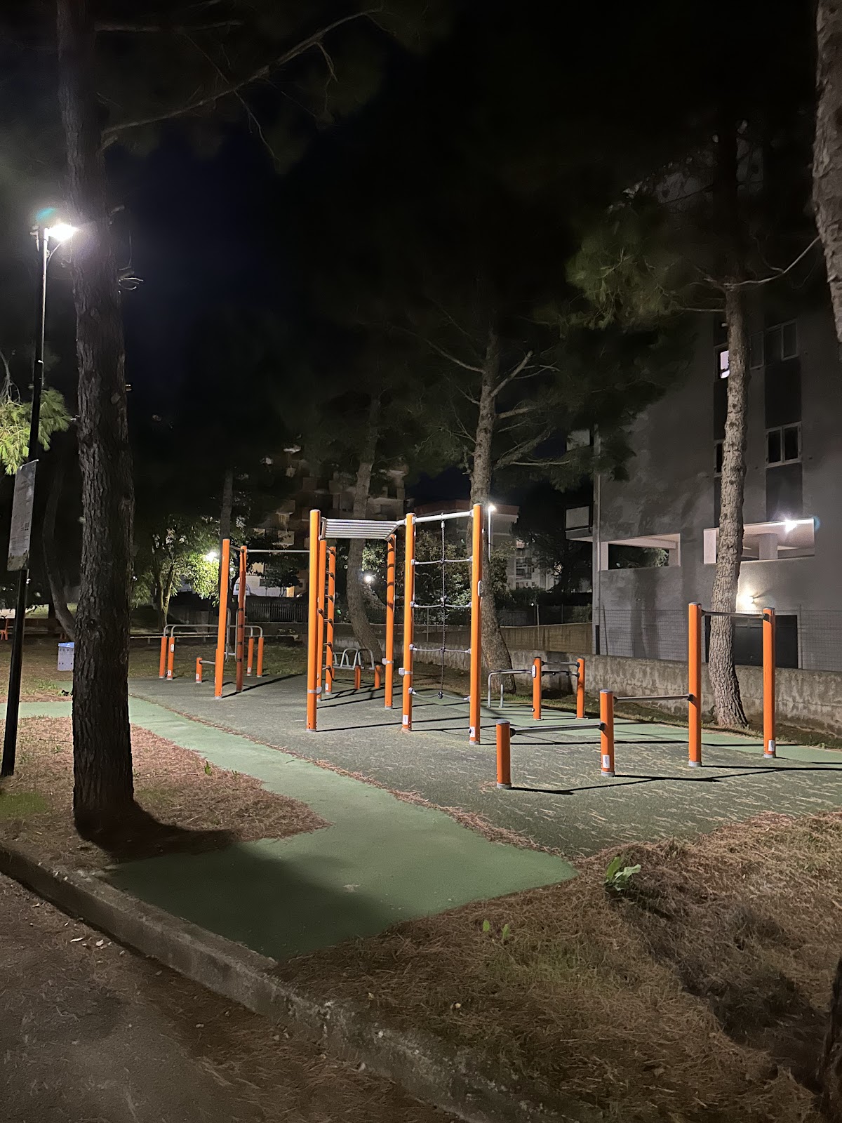 Parchetto Calisthenics