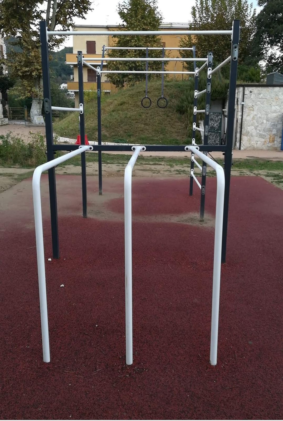 Parchetto calisthenics