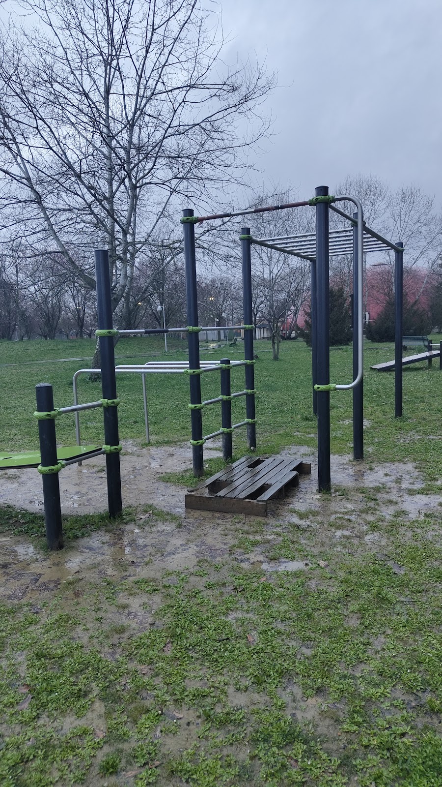 Parchetto Calisthenics