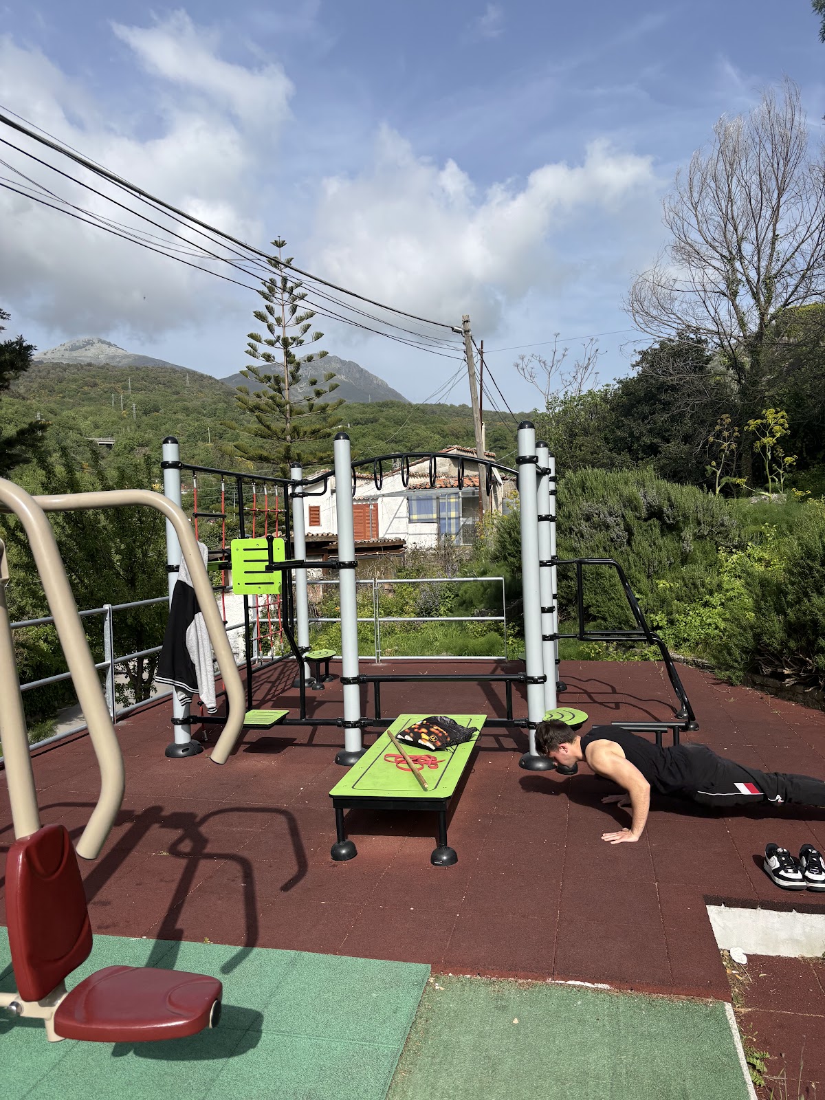 Parchetto calisthenics