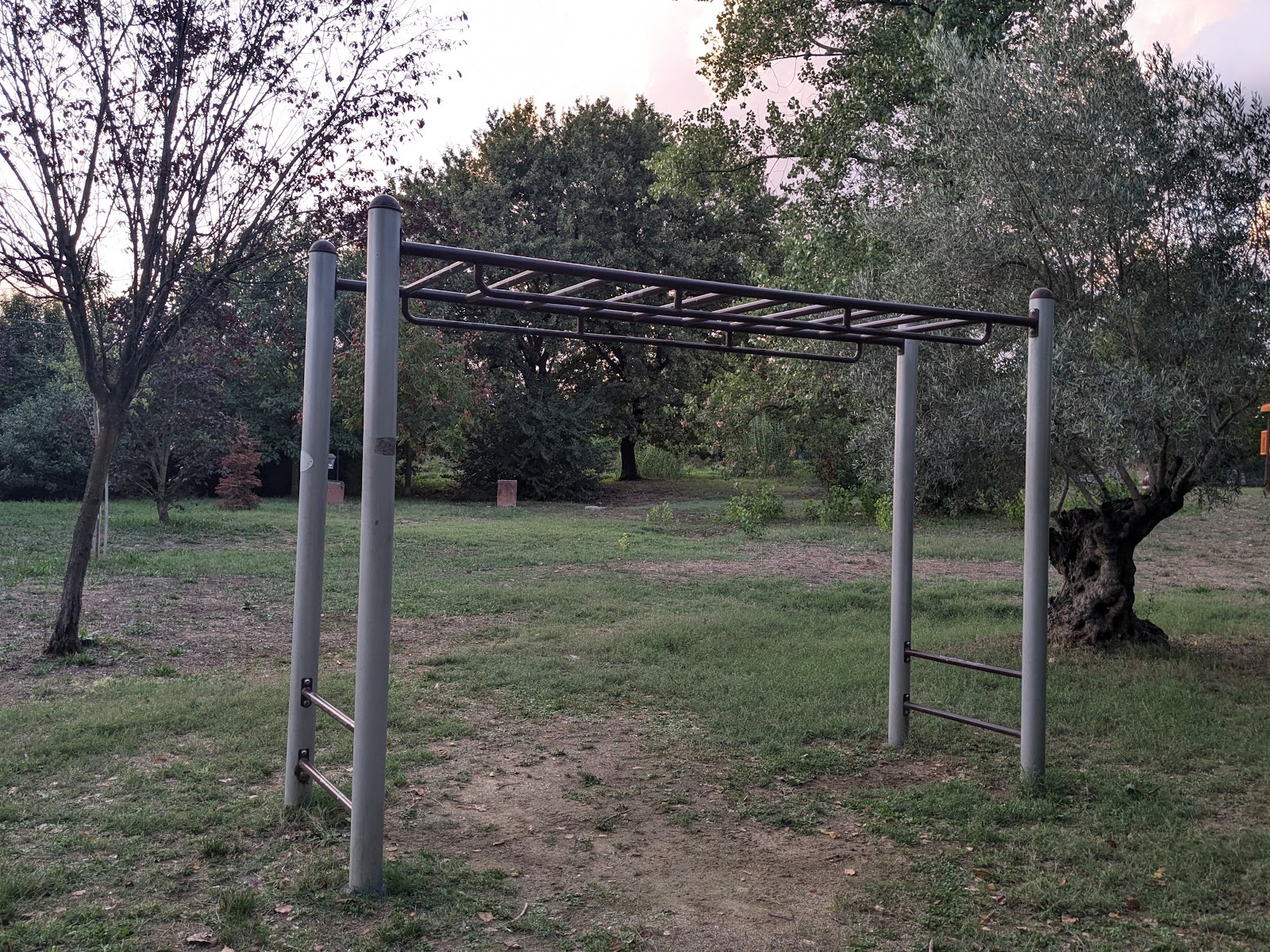 Parchetto Calisthenics