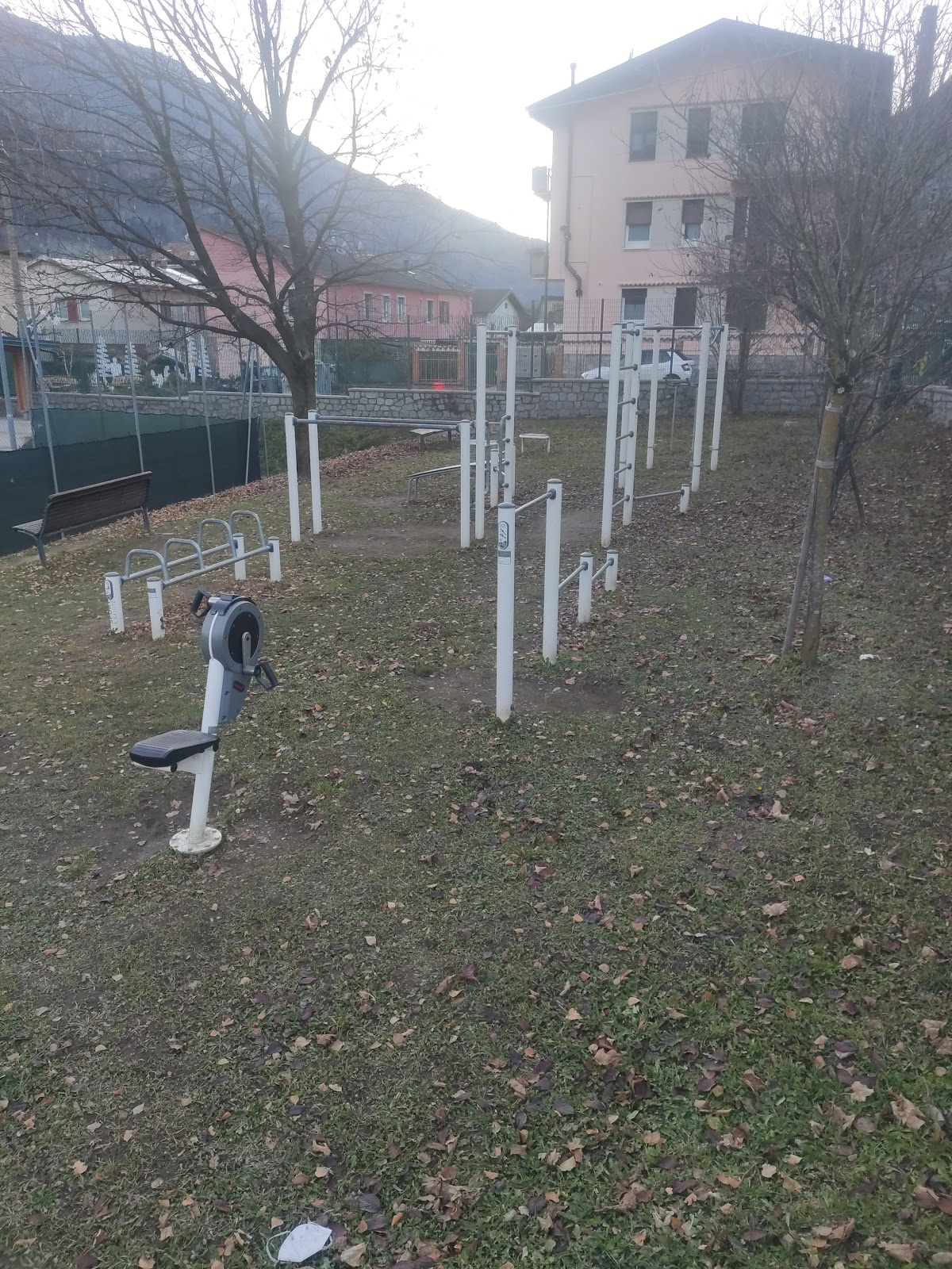Parchetto calisthenics