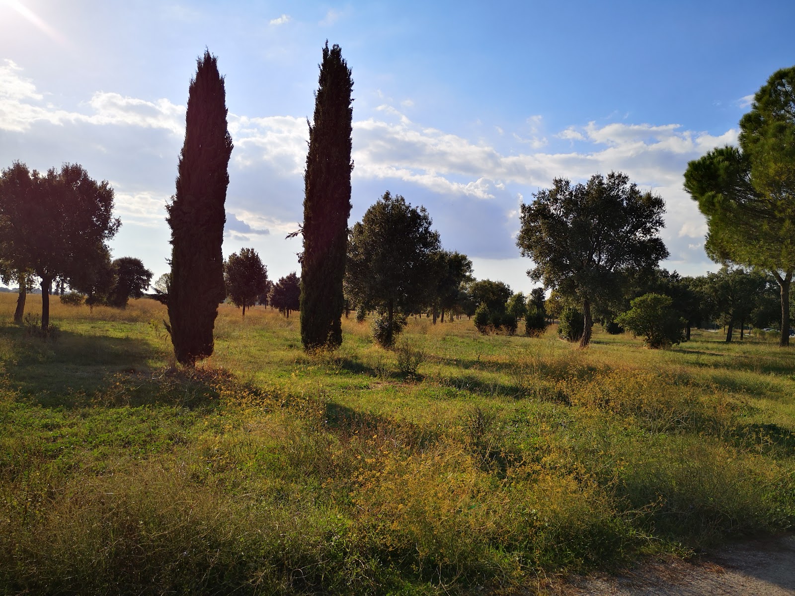 Parco Archeologico di Centocelle