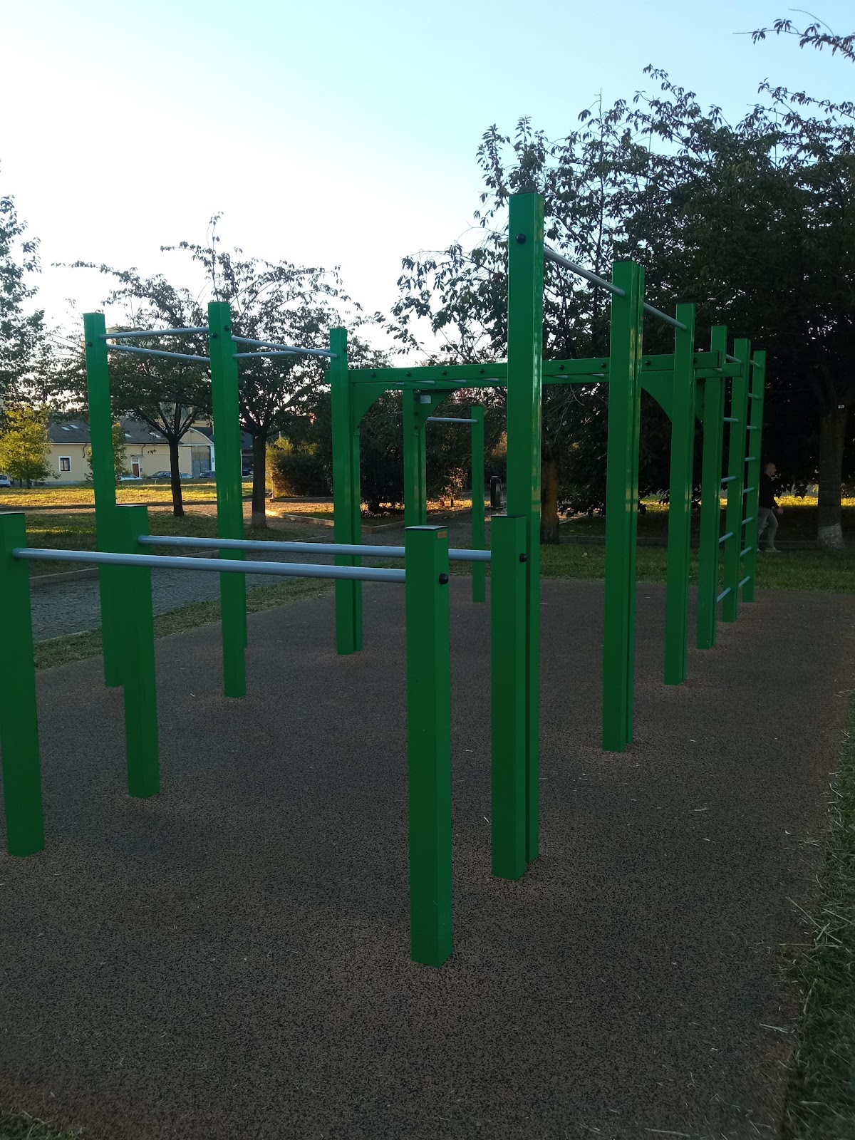 Parco calisthenics