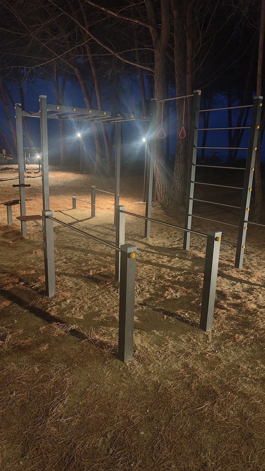 Parco calisthenics