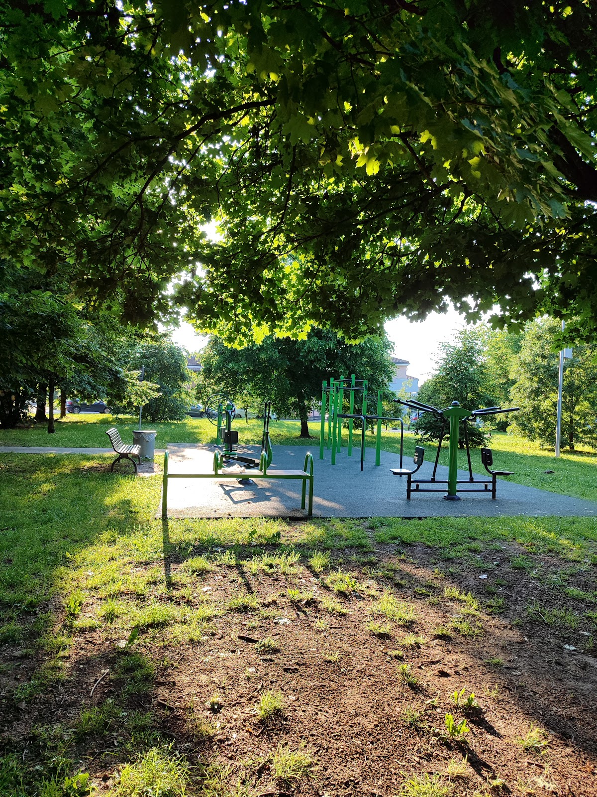 Parco Calisthenics Binasco "IRON BINASCO"