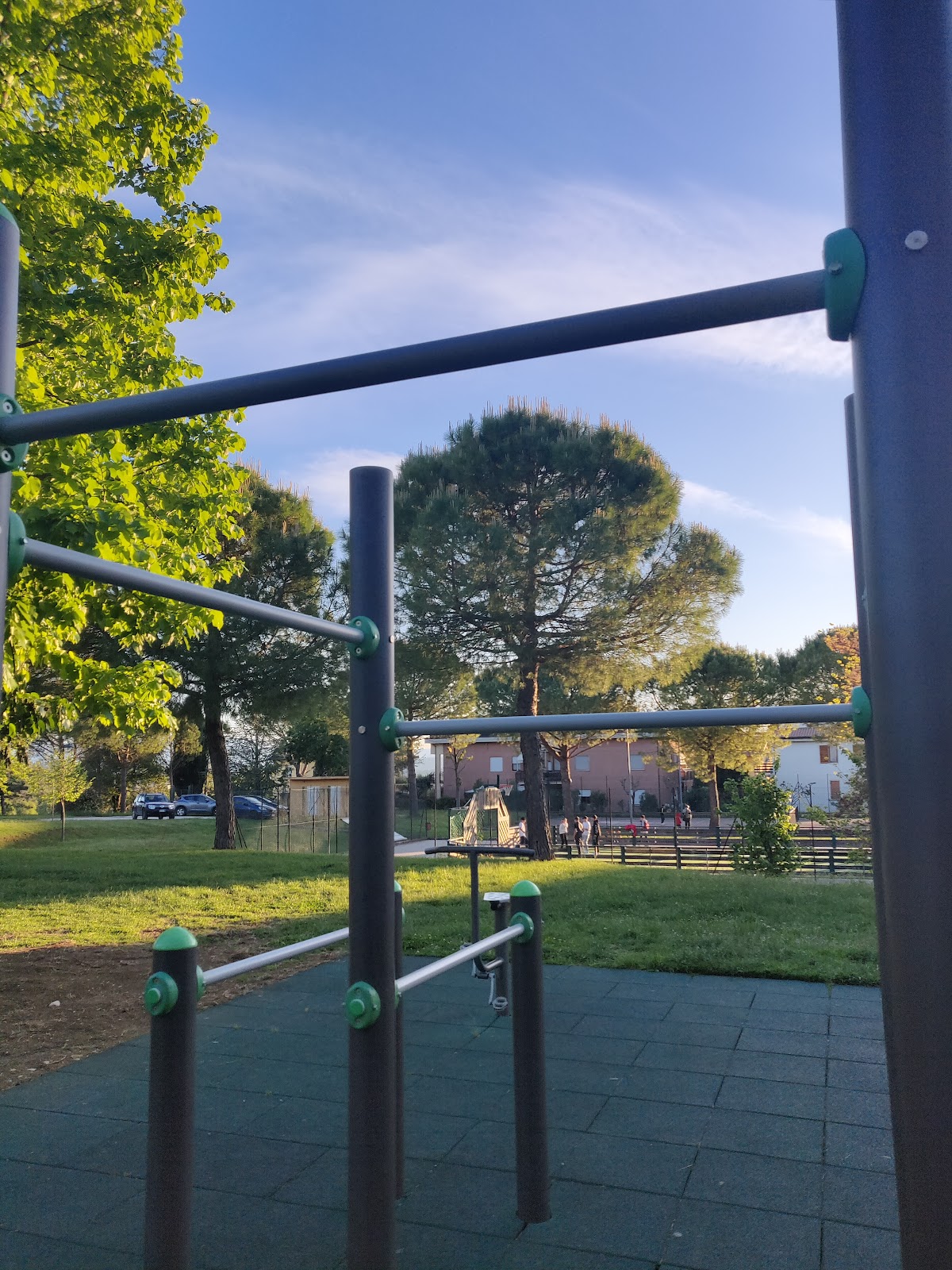 Parco calisthenics