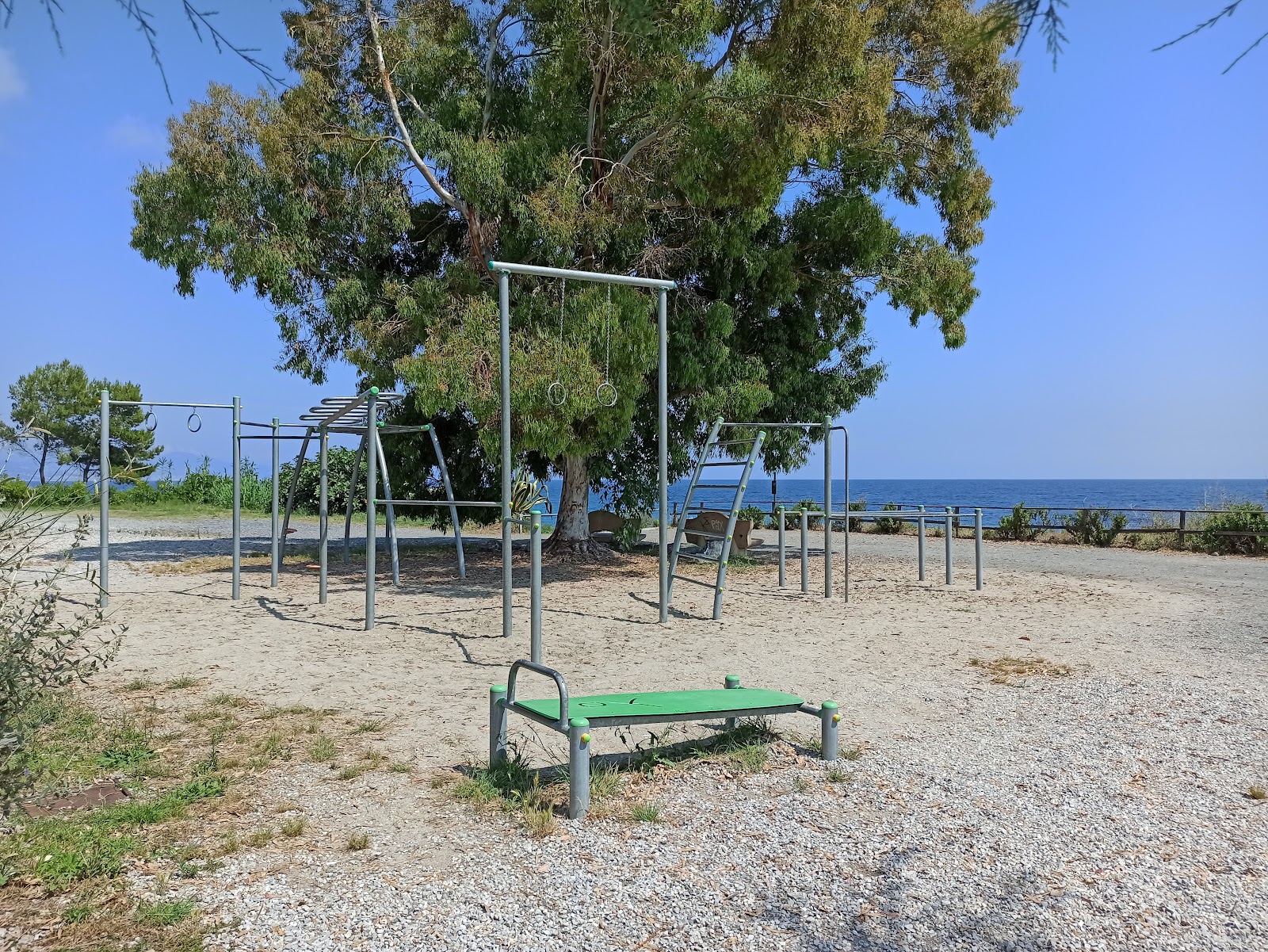 Parco calisthenics