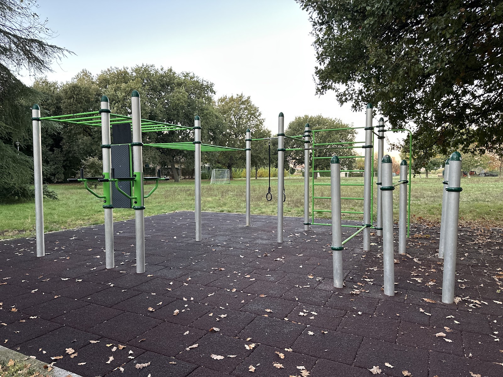 Parco Calisthenics