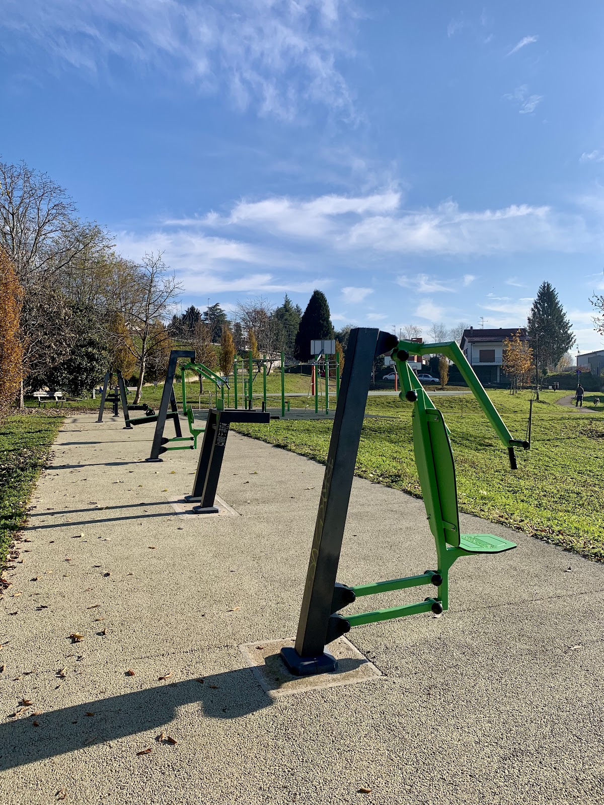 Parco calisthenics