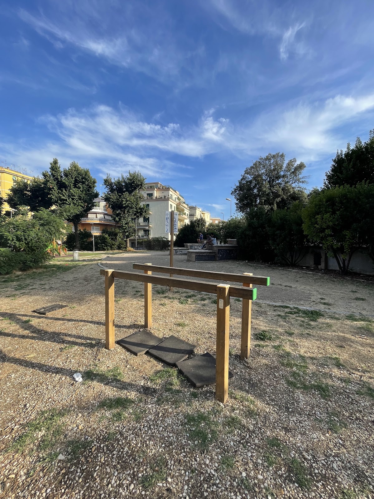 Parco Calisthenics