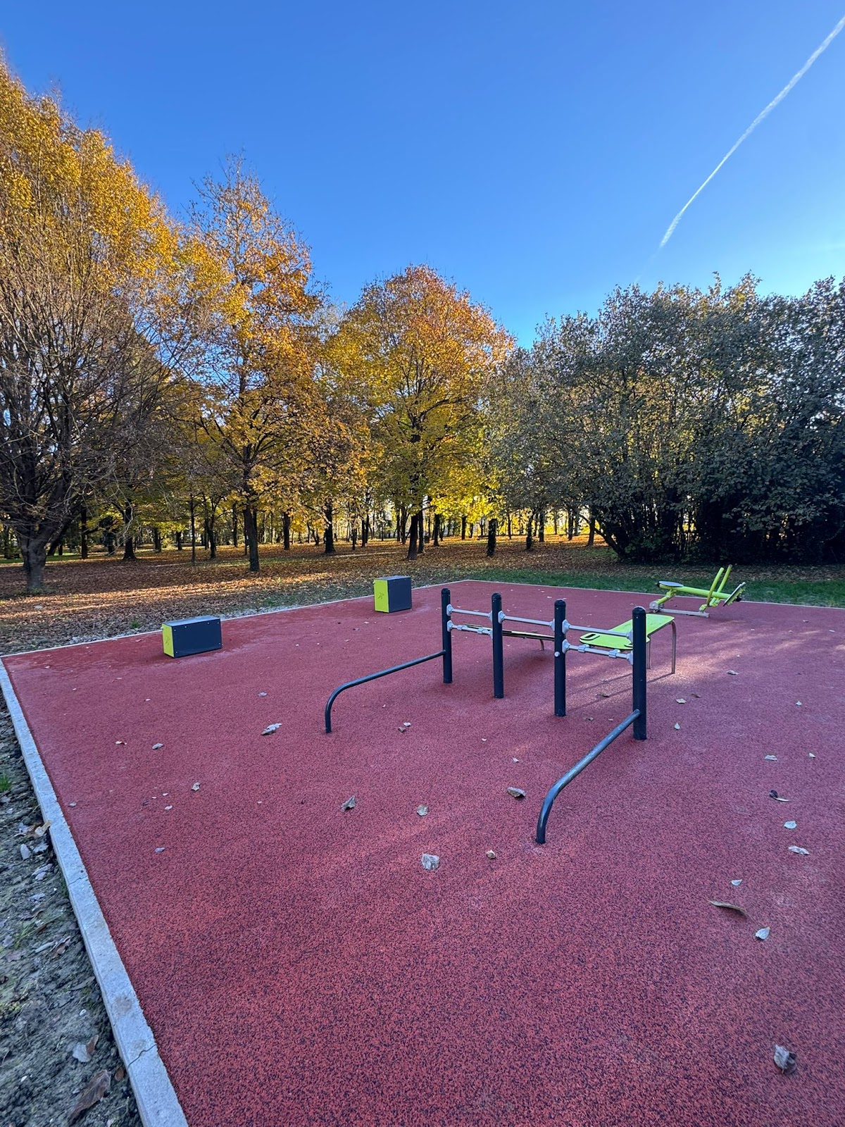 Parco Calisthenics
