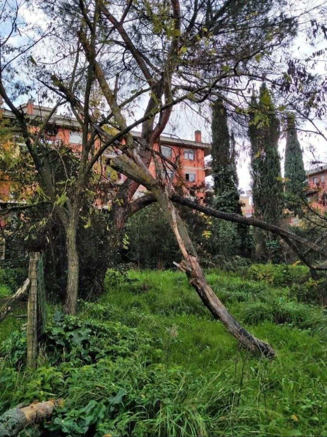 Parco Colle di mezzo