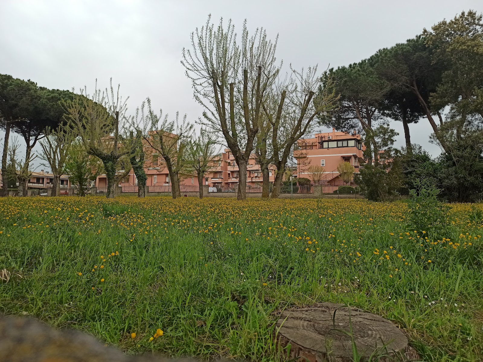 Parco Comunale "Giovanni Palatucci"