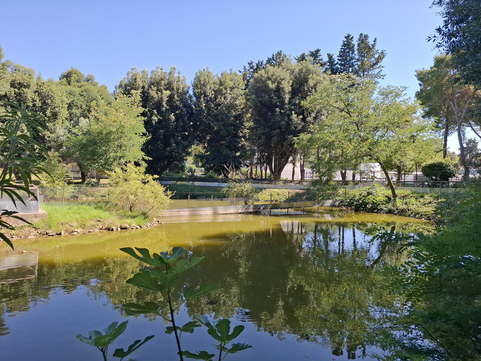 Parco comunale Termoli