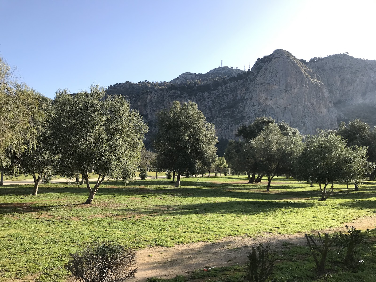 Parco della Favorita