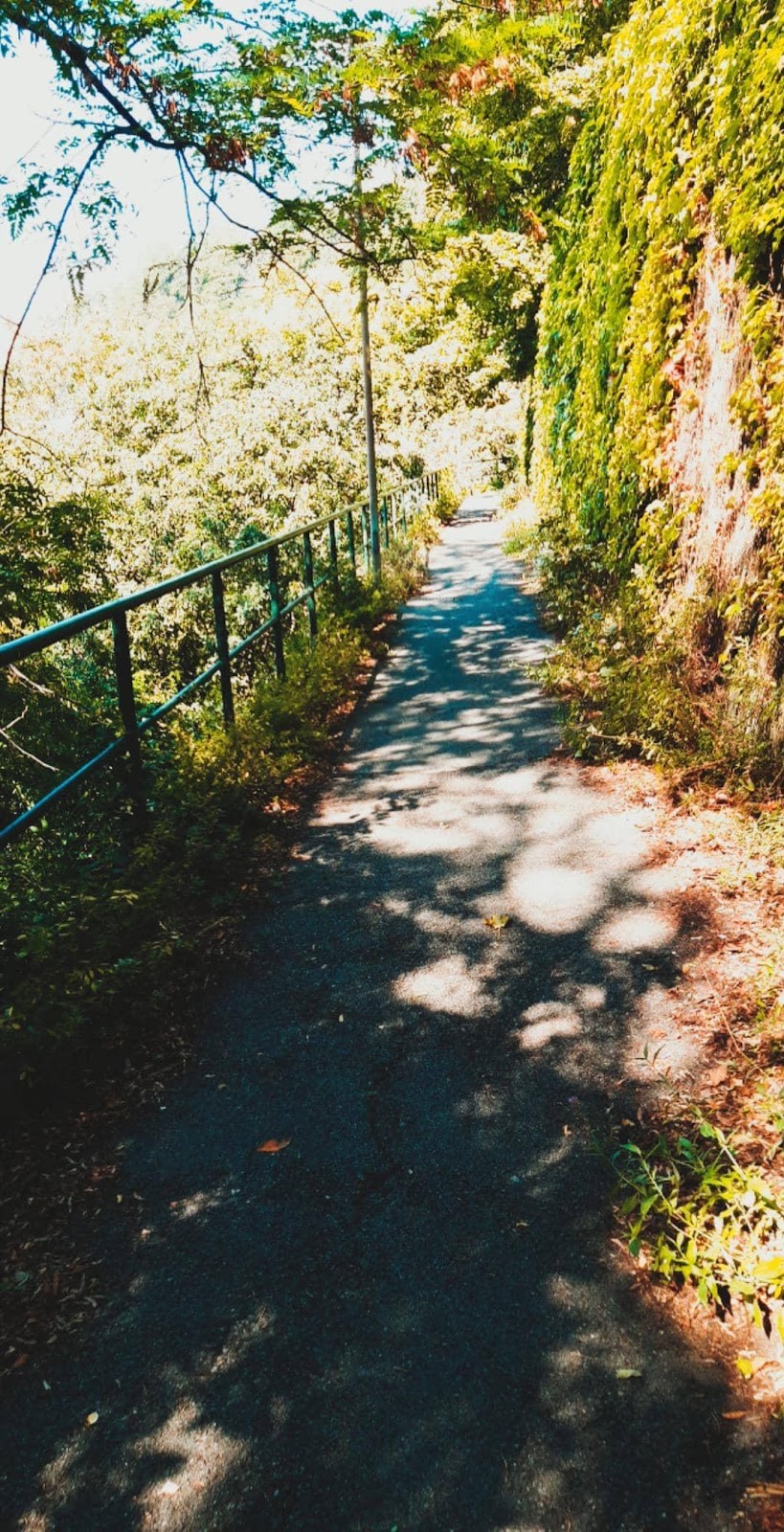 Parco della Nora