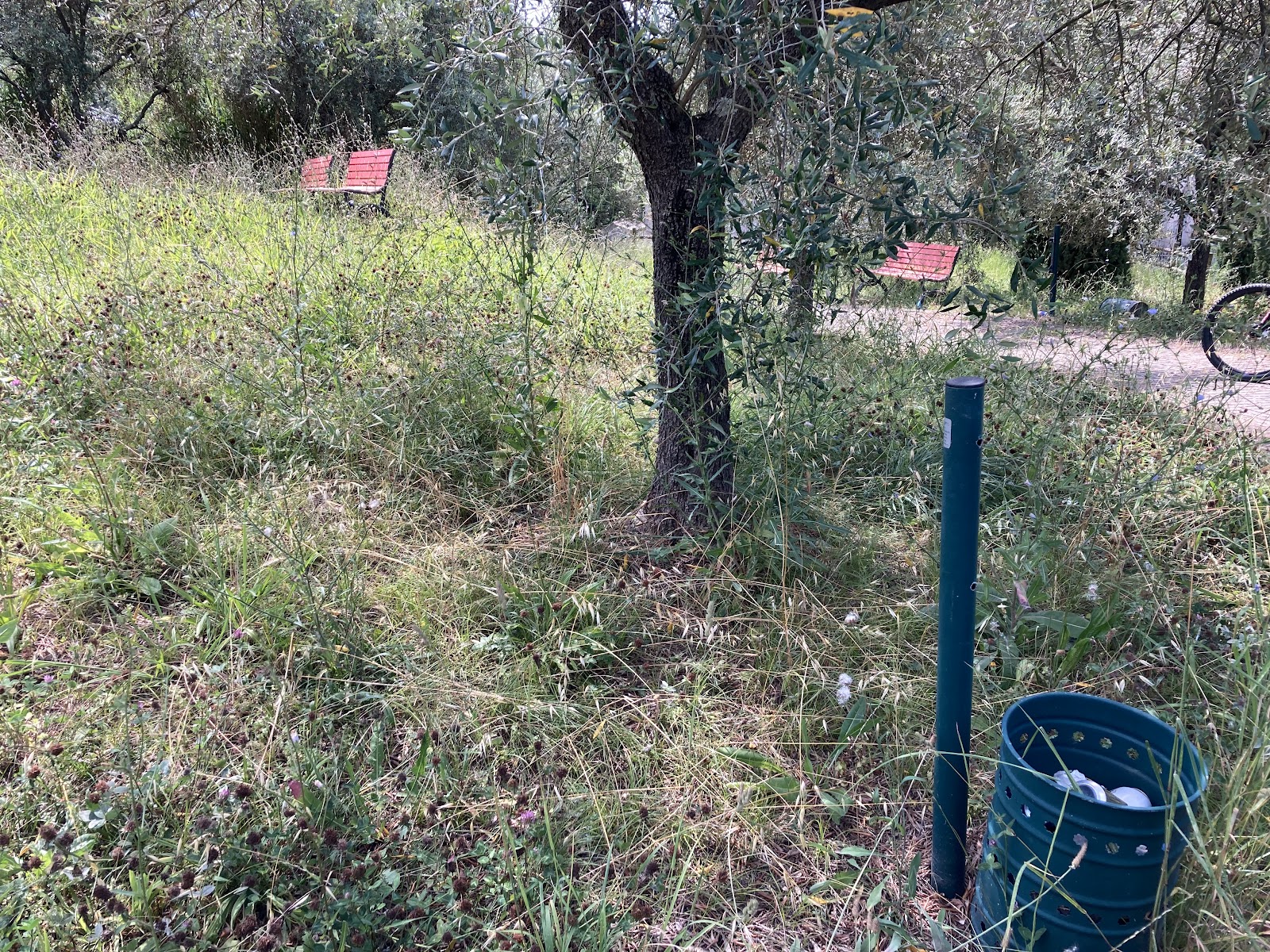 Parco della Pieve di San Venerio