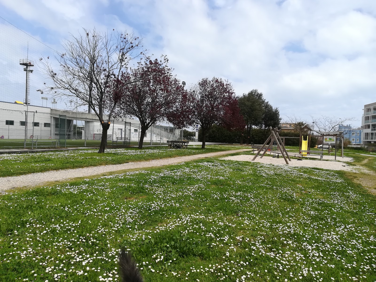 Parco dello Sport