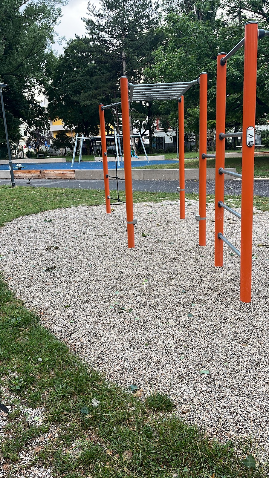 Parco di calisthenics