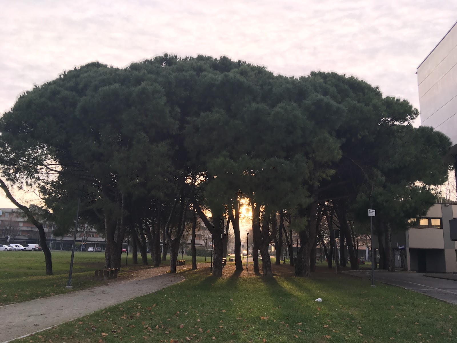 Parco Giovanni Paolo II