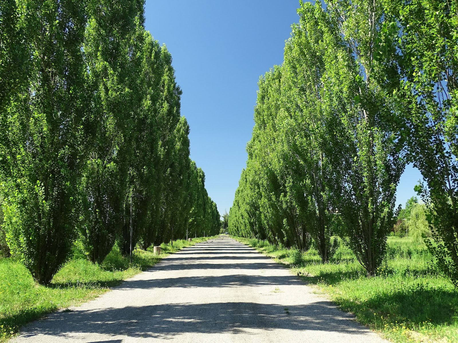Parco Nilde Iotti (parco Ottavi)