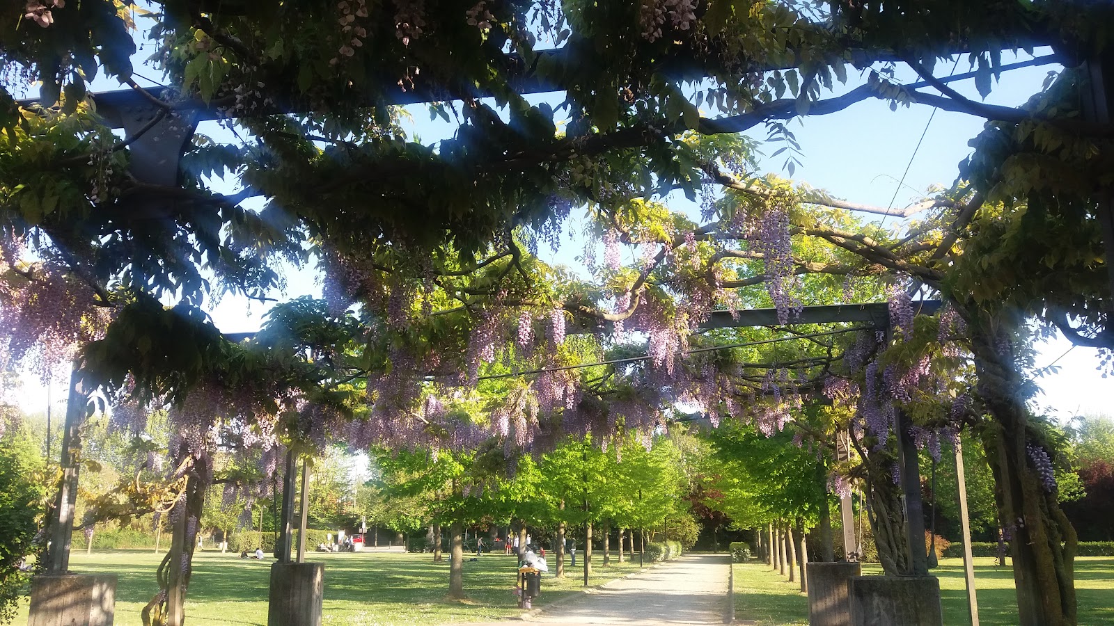 Parco urbano dell'Ambrogiana - Est