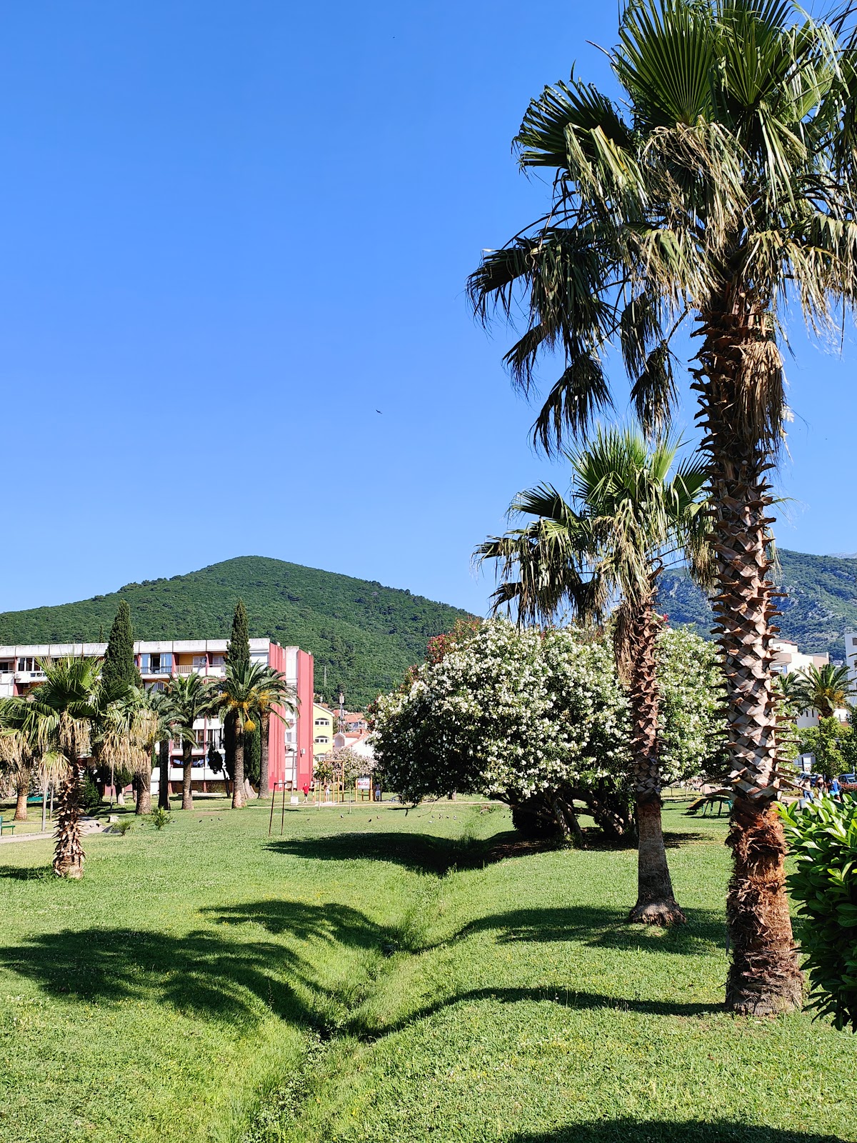 Park 1312