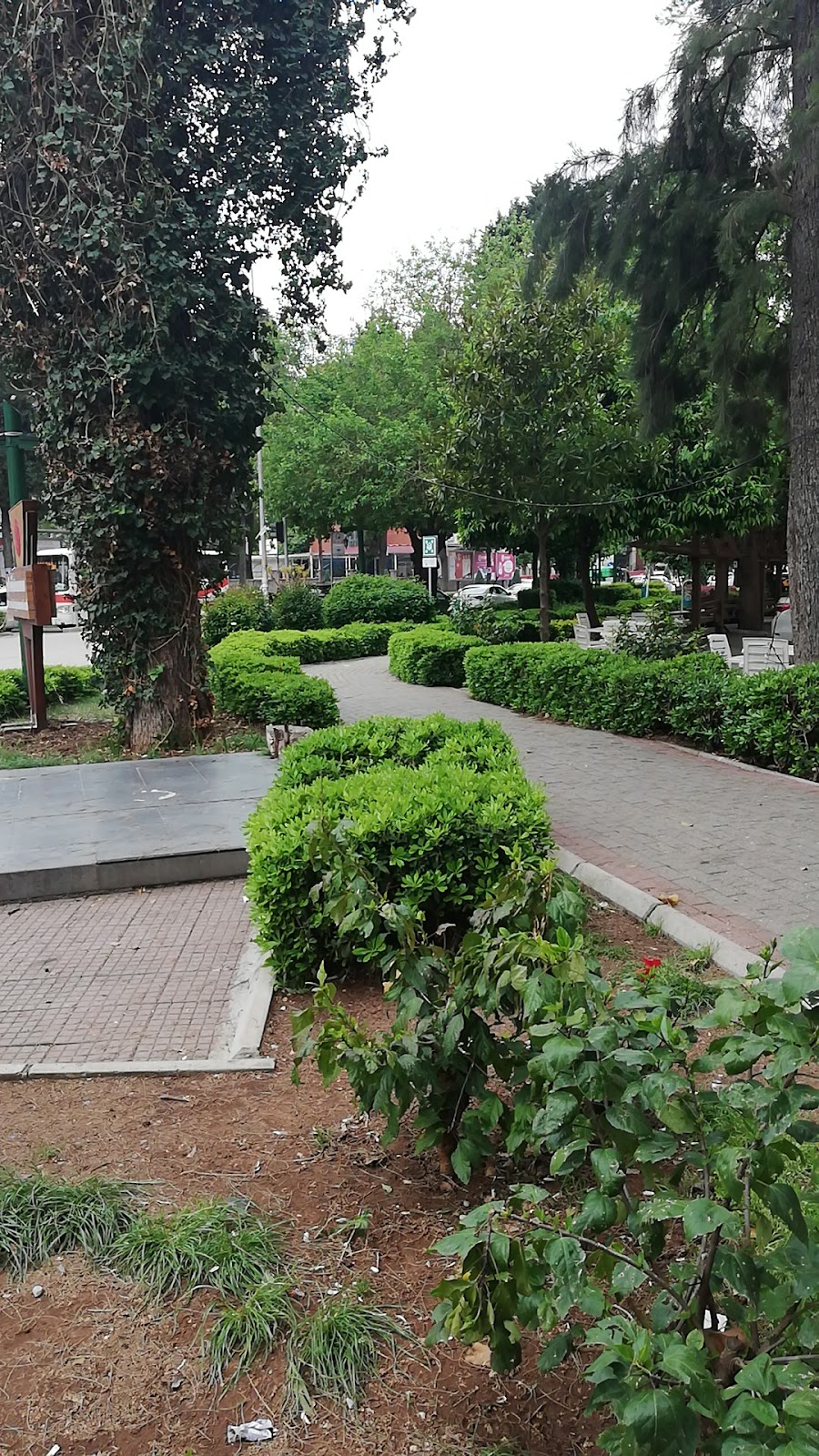 Park