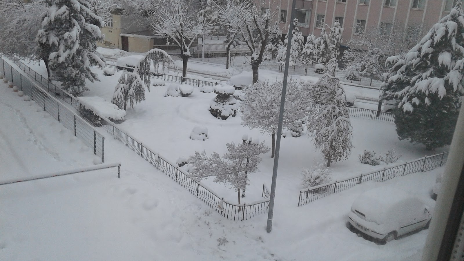 Park