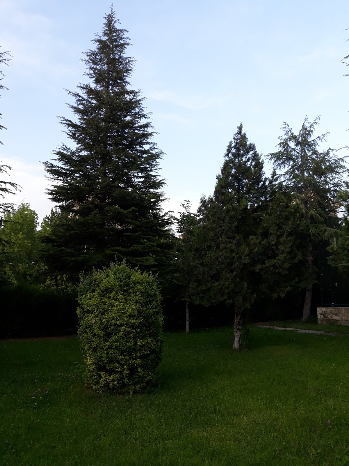 Park