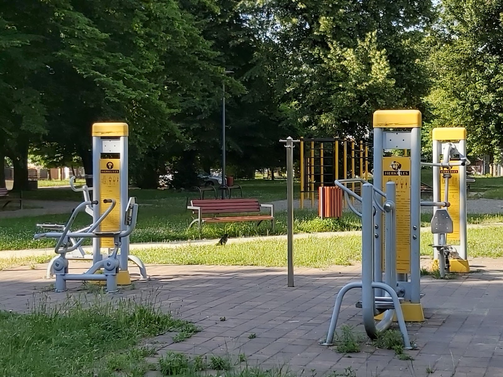 Park Street Workout Racibórz