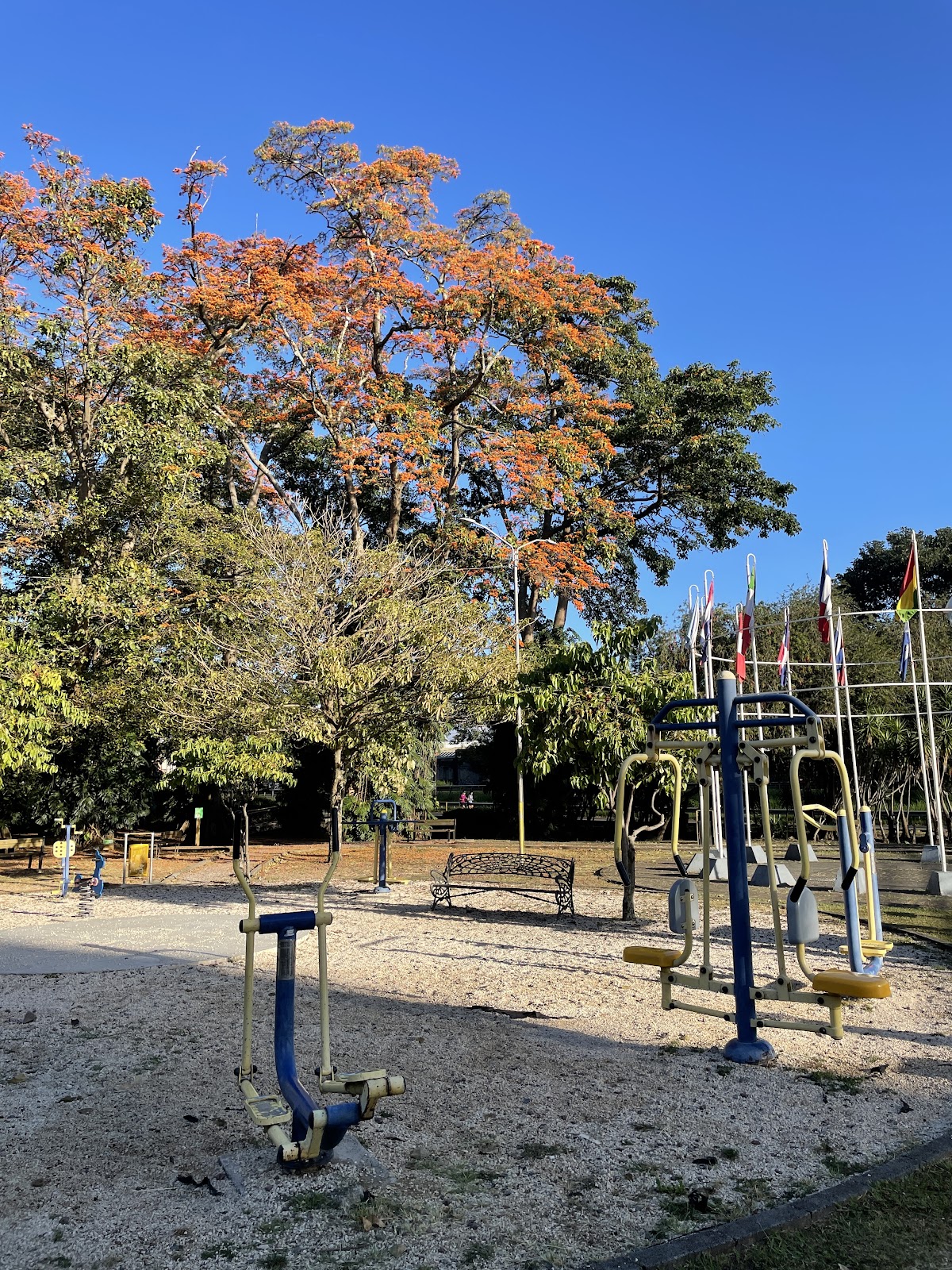 Parque de Calistenia Curridabat