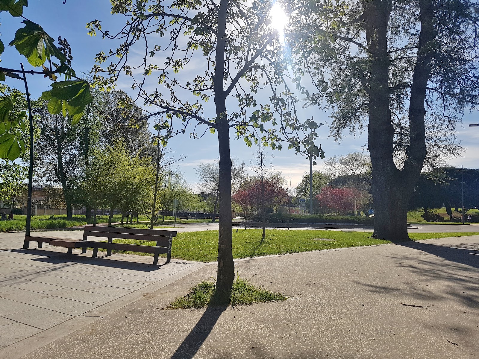 Parque de calistenia La Quinta