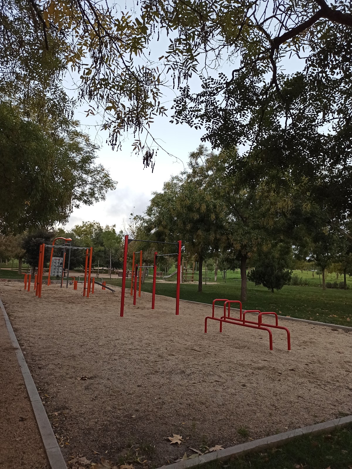 Parque de calistenia