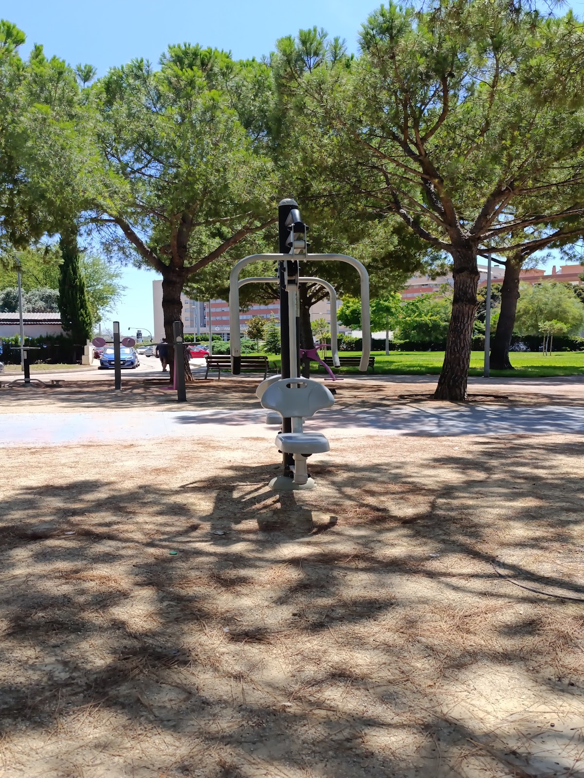 Parque de Calistenia y Gimnasia al aire libre, parque saludable