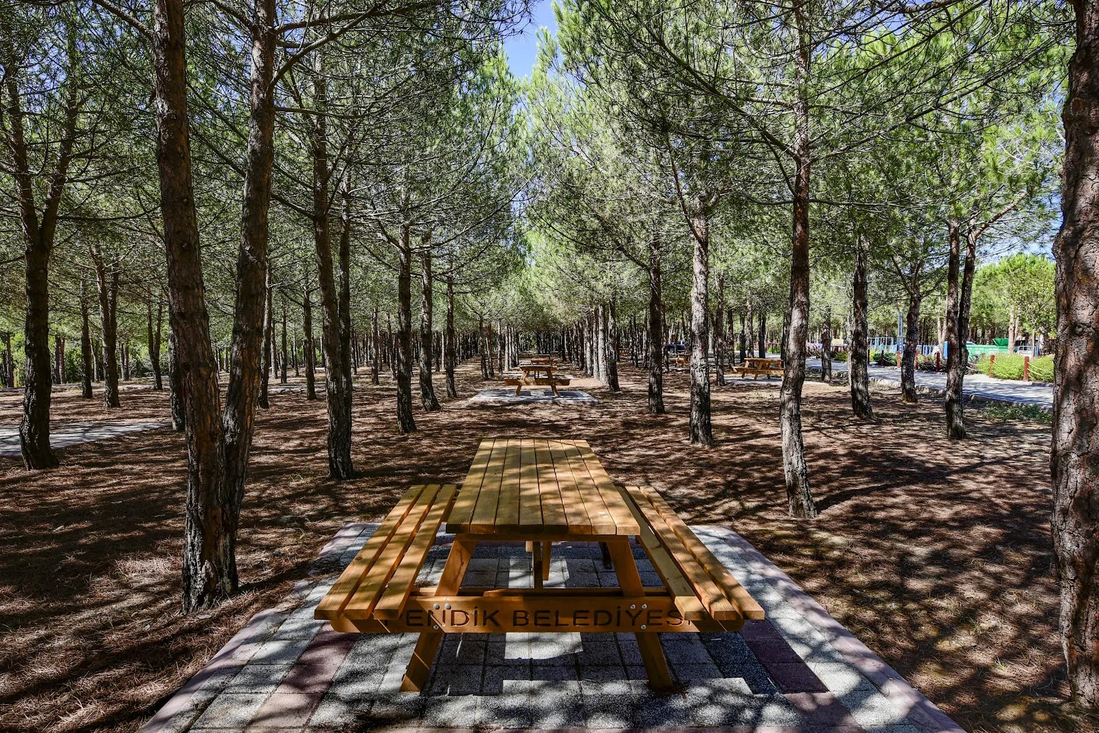 Pendik Belediyesi Pendik Korusu