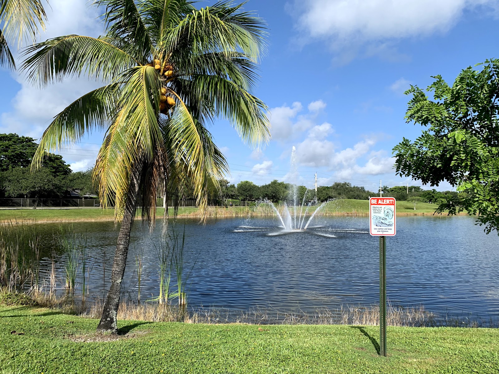 Plantation Central Park