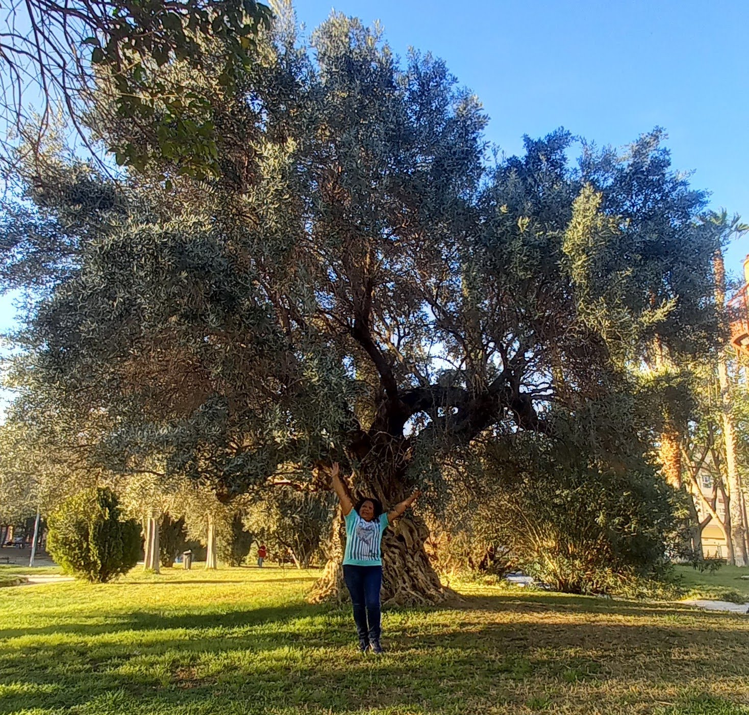 Príncipe de Asturias Park