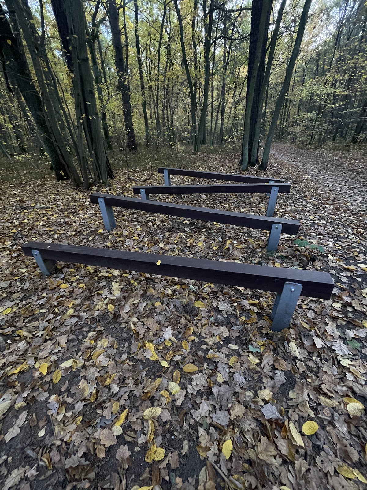 Siłownia plenerowa