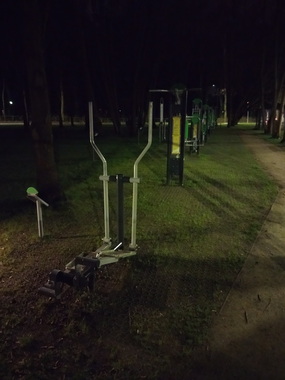 Siłownia plenerowa przy ulicy Sadowej