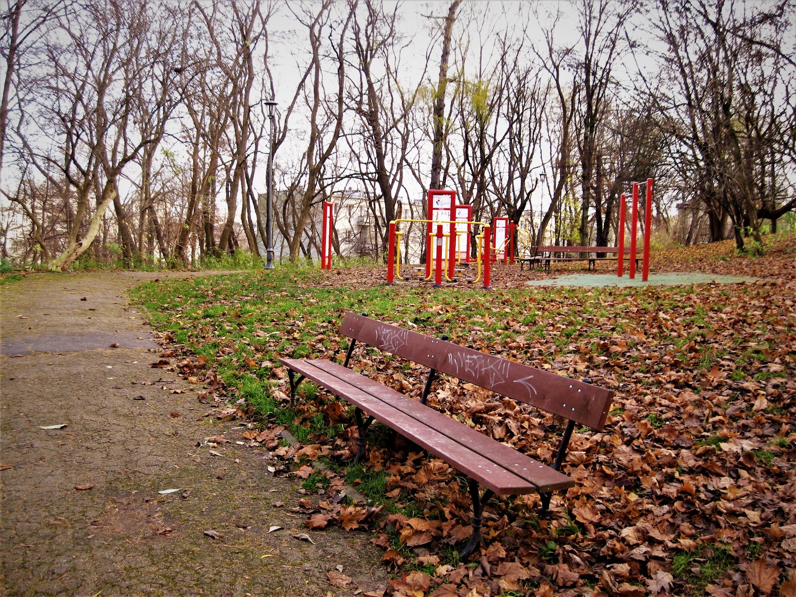 Siłownia plenerowa