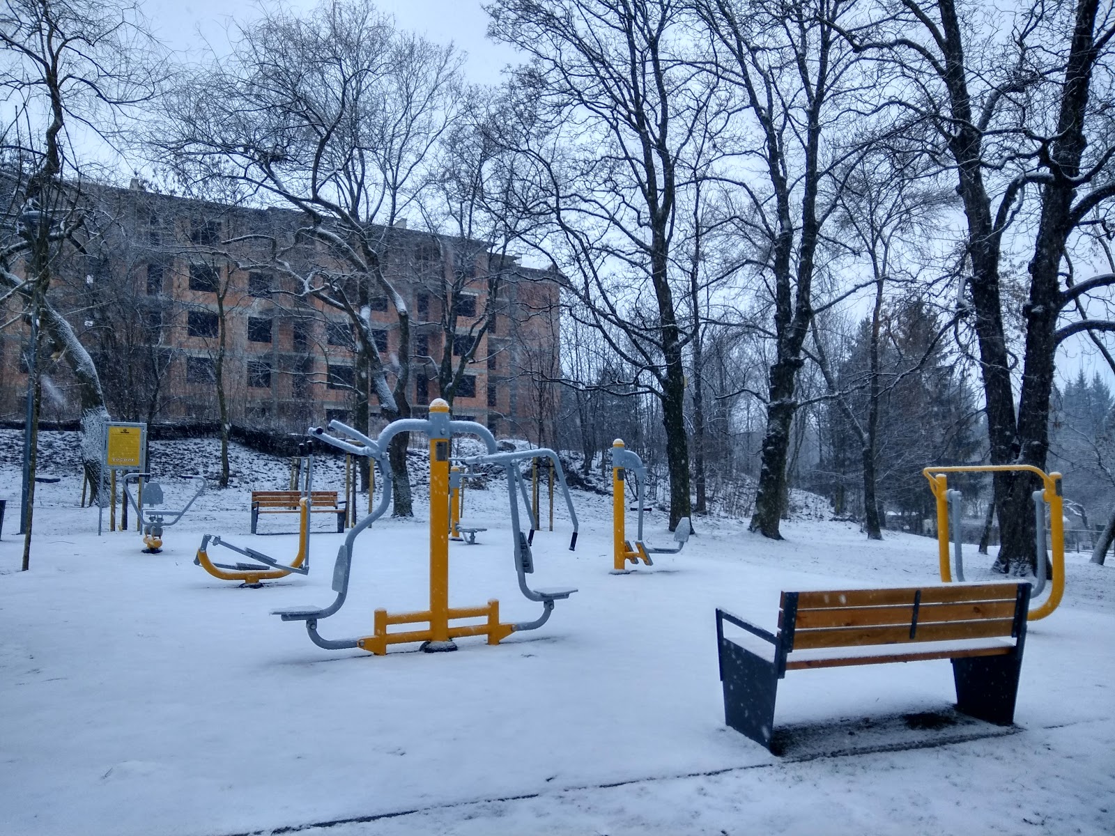 Siłownia Plenerowa w parku