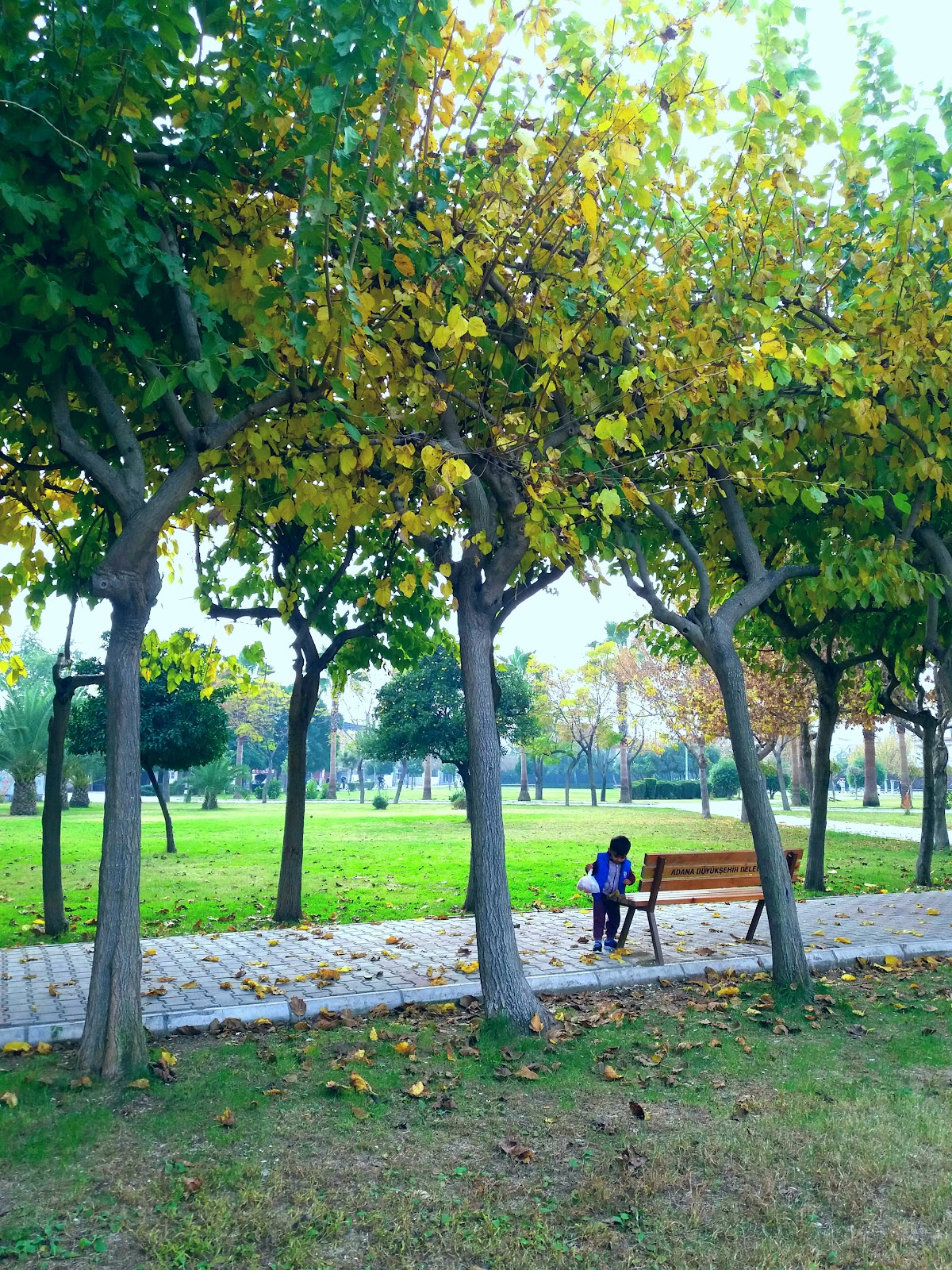 Southern Star Park