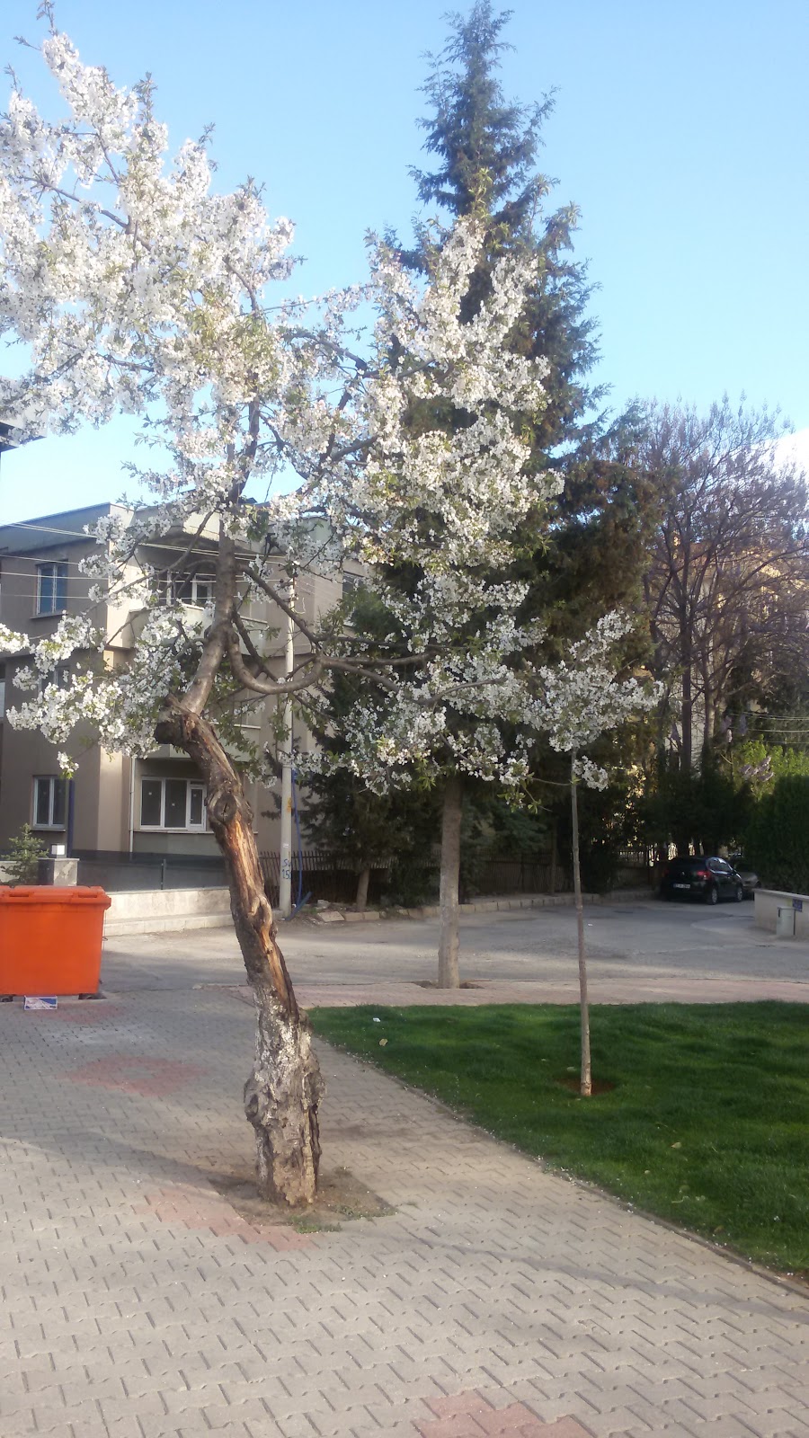 Spor Parkı