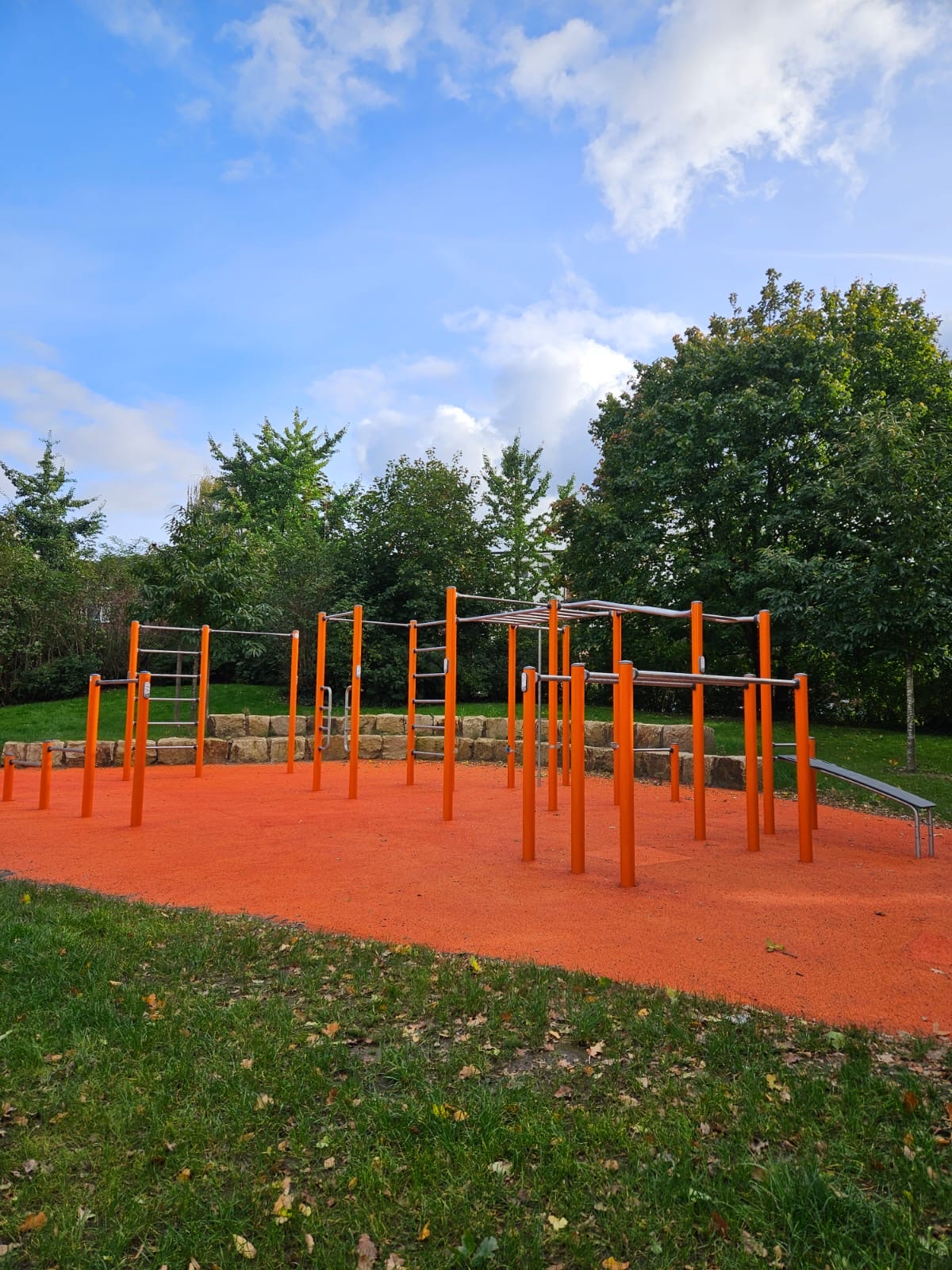 Sport and Fitness Area / Calisthenics