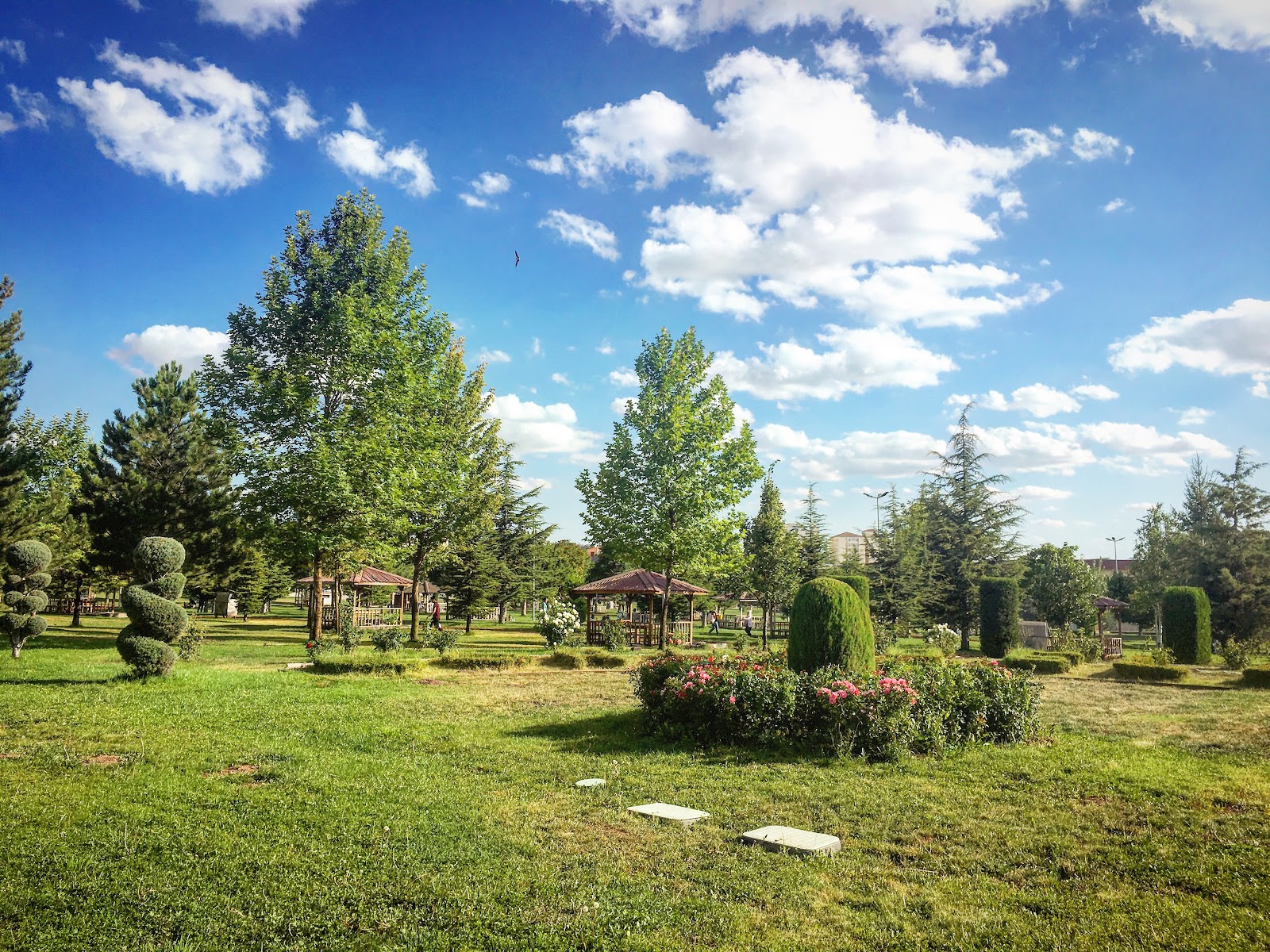 Stone Hill Park